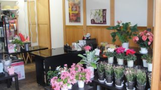 花屋　業者様歓迎　種のまとめ売りお受けいたします。 花屋 業者様歓迎 種のまとめ売りお受けいたします。 花屋 業者様歓迎